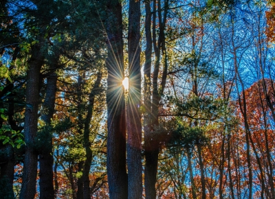 Dicas para utilizar o estacionamento regulado no regresso do bom tempo